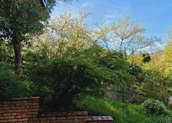 Am Panoramaweg 公寓